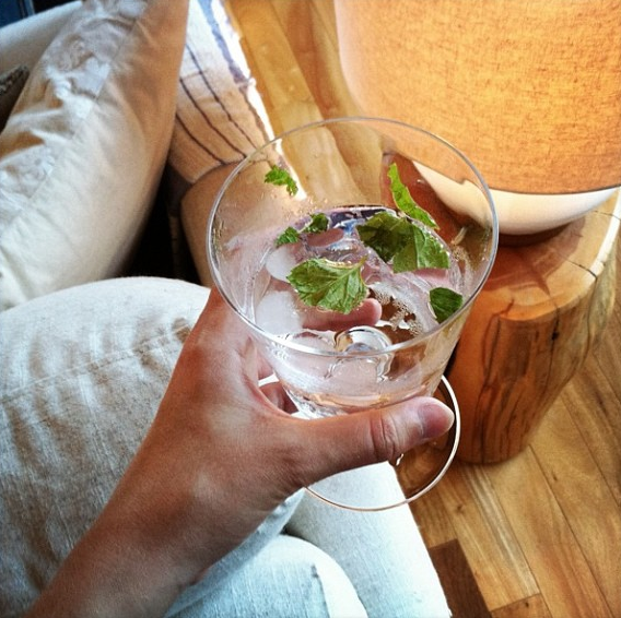 jenny-gordy-seltzer-with-mint