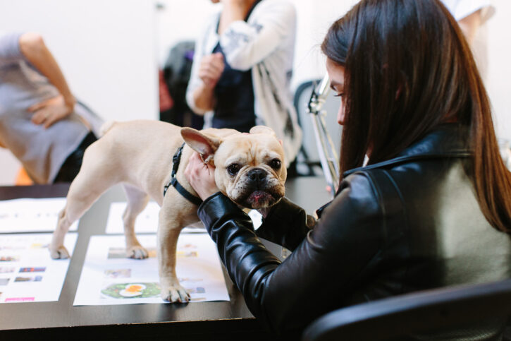 Apartment-One-brooklyn-design-studio-nala-the-frenchie