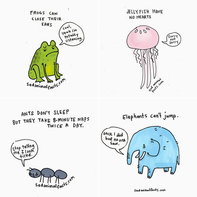 8 Fun Instagram Accounts