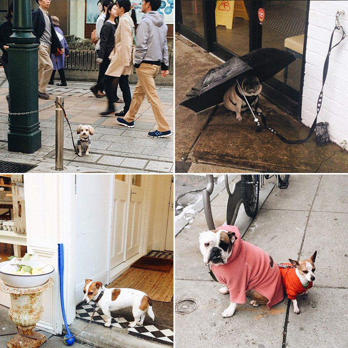 8 Fun Instagram Accounts