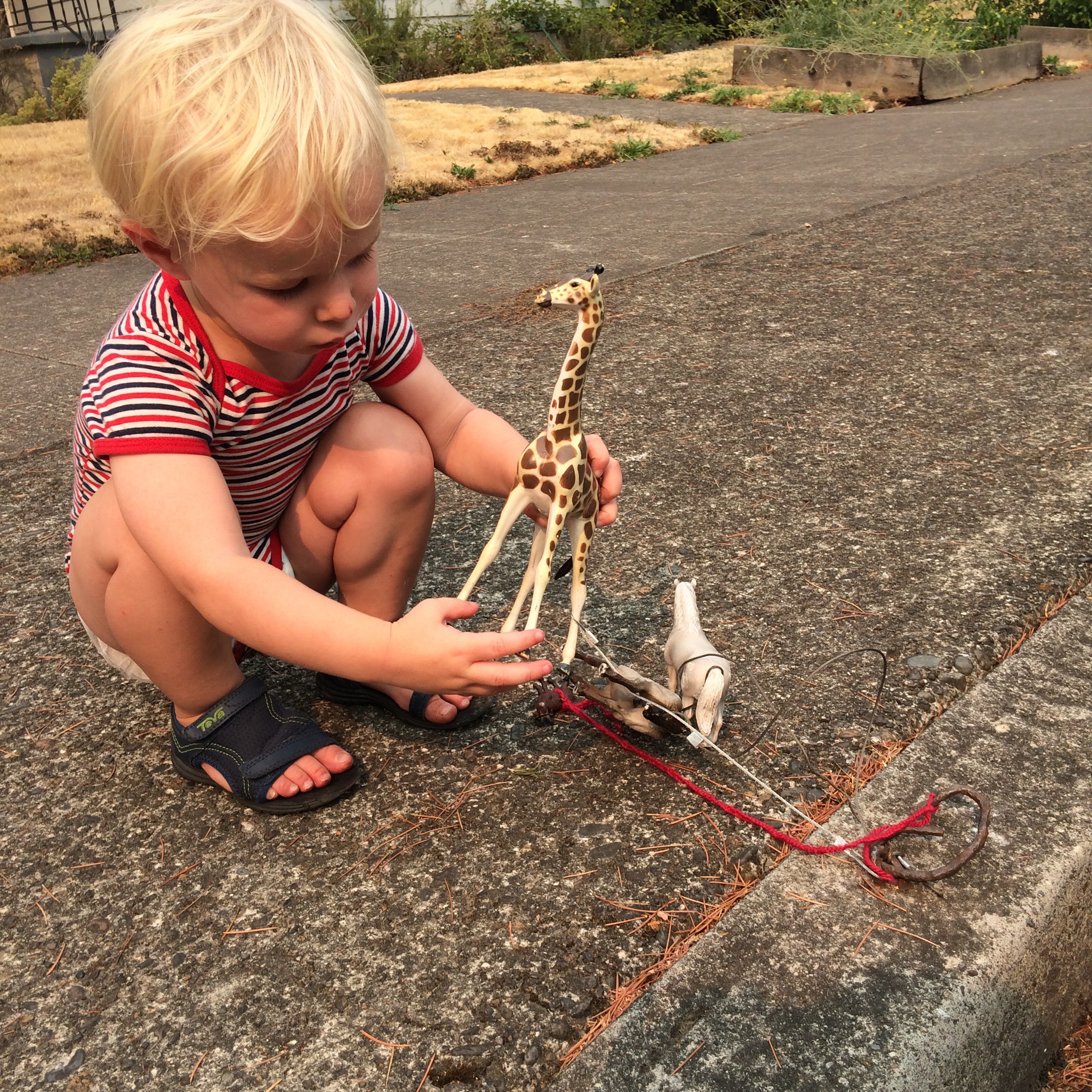 Portland Vacation Photos