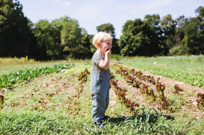 cup-of-jo_blue-apron-74