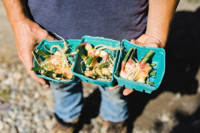 cup-of-jo_blue-apron-91