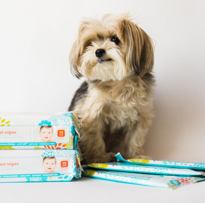 Honest Company wipes