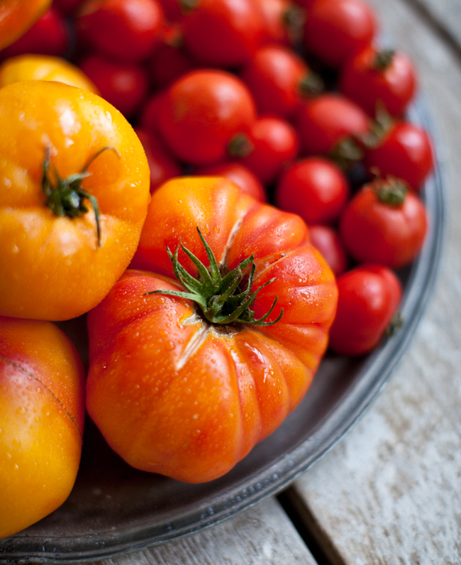 Baked Eggs on a Bed of Roasted Tomatoes