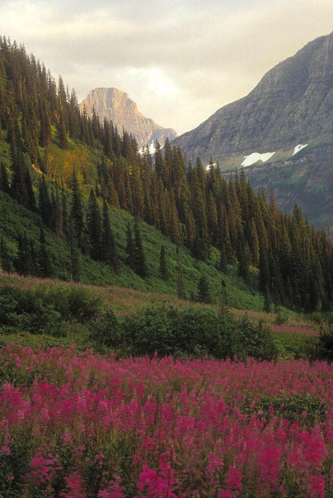 Glacier National Park, Montana