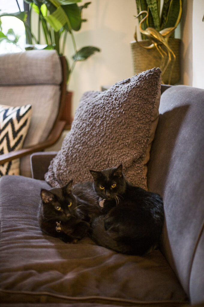 Bright Bohemian One Bedroom