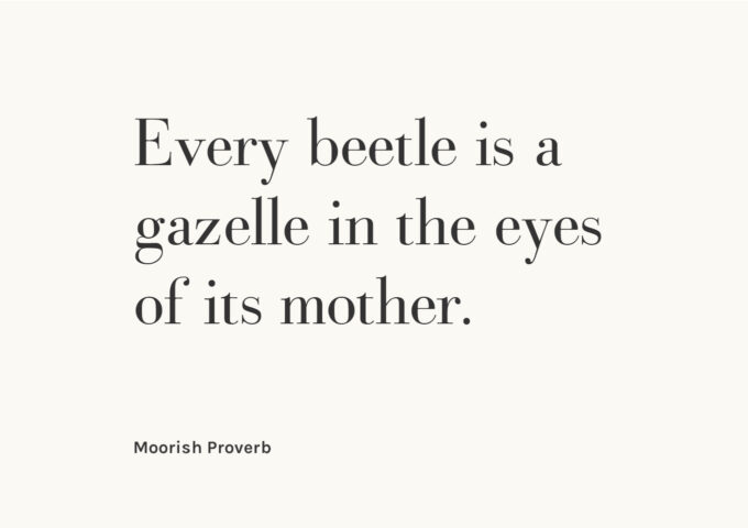 Every beetle is a gazelle in the eyes of its mother. — Moorish Proverb