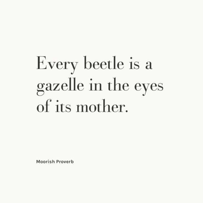 Every beetle is a gazelle in the eyes of its mother. &mdash; Moorish Proverb