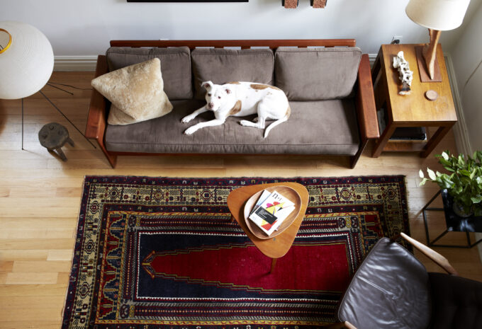 Whitney Parris-Lamb's Brooklyn Apartment