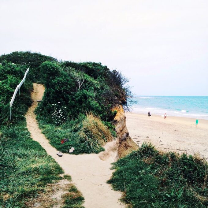 What Kind of Traveler Are You?