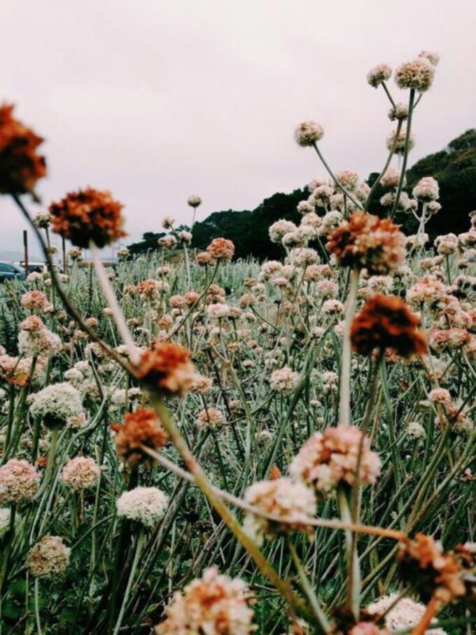 What Kind of Traveler Are You?