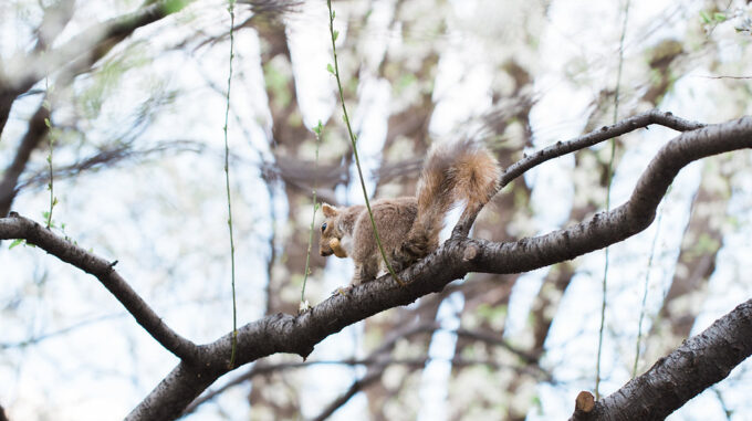 Spring maternity clothes from Hatch Collection