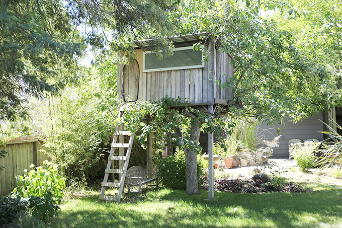 Sonoma House Tour of Jess Brown