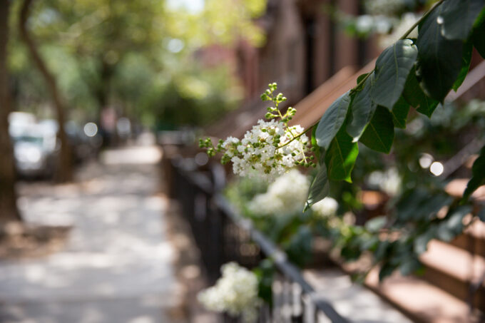 Breakfast in Brooklyn (and a Giveaway)