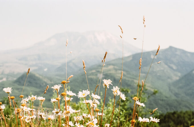 Have a Restorative Weekend