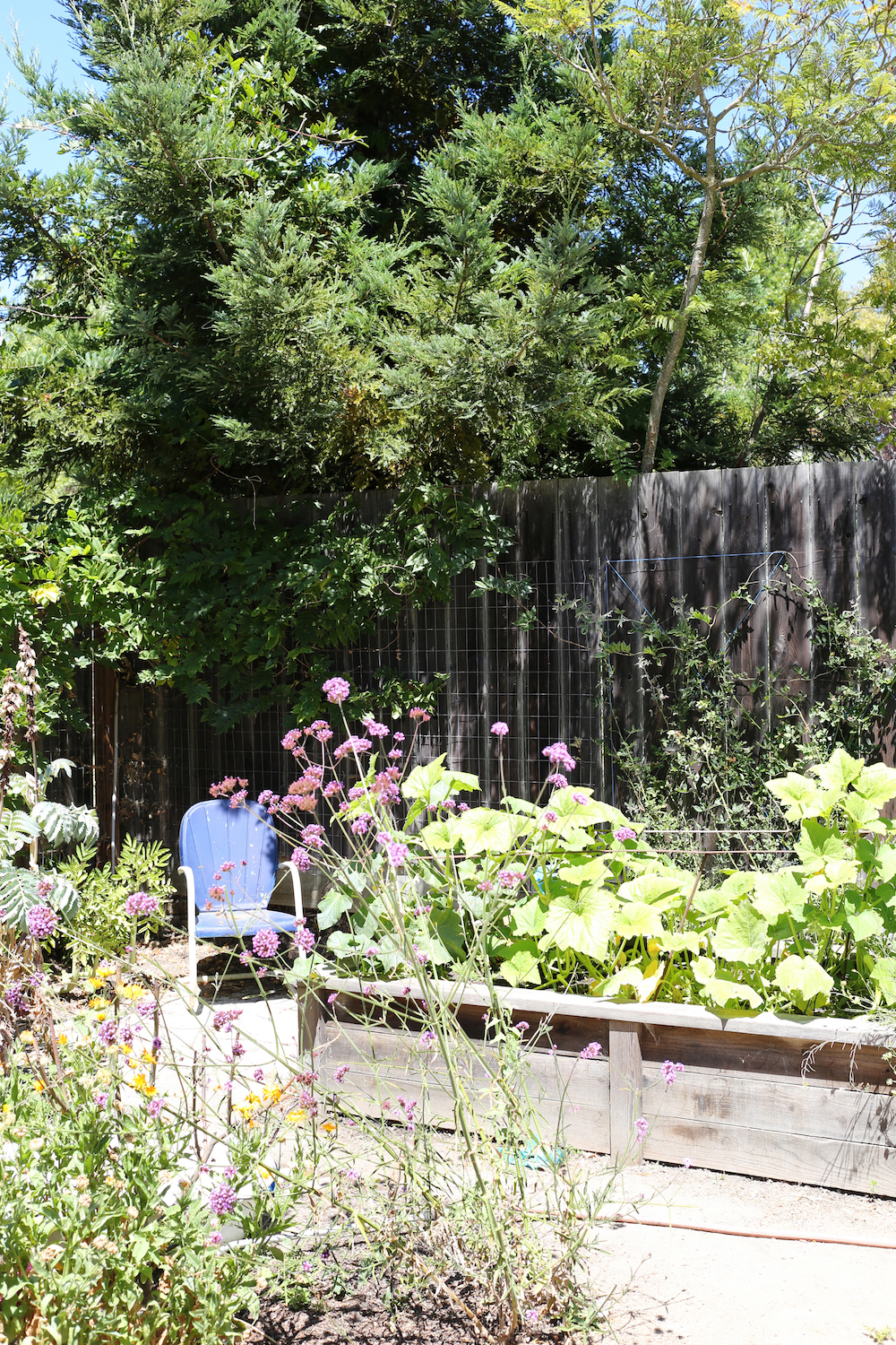 Ariel Clute's Berkeley Home