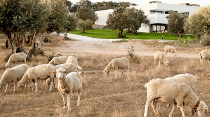 8 Amazing Honeymoon Destinations