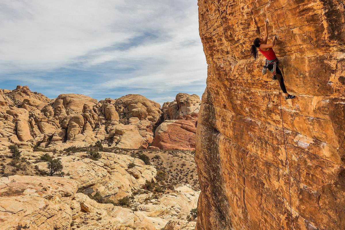 Beauty Uniform: Moriel Zelikowsky