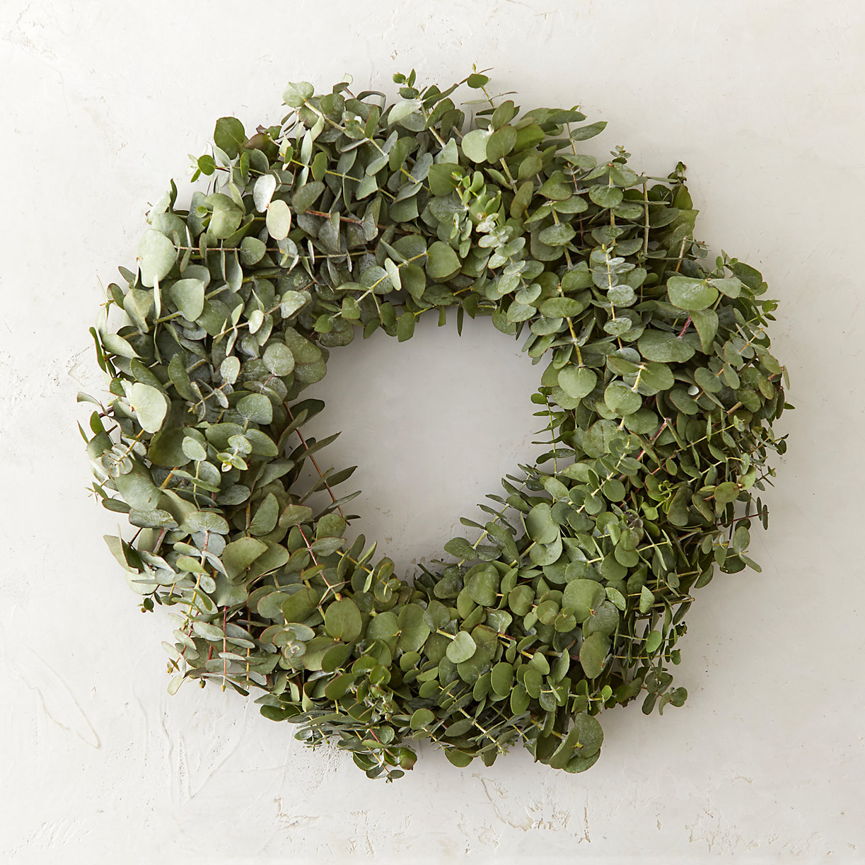 Fresh Eucalyptus Wreath