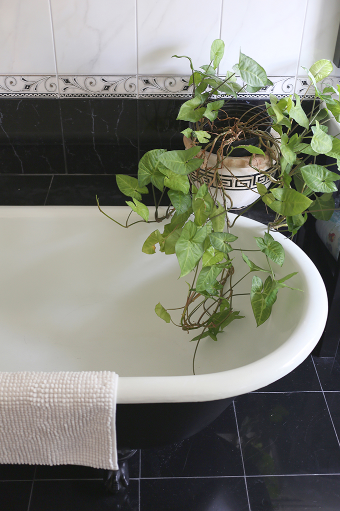 Noe Valley House Tour