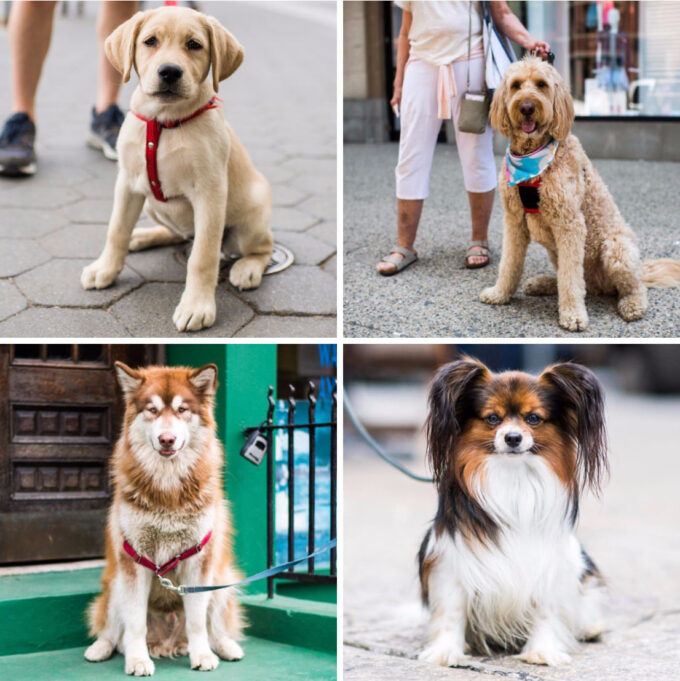 8 Cool Instagram Feeds