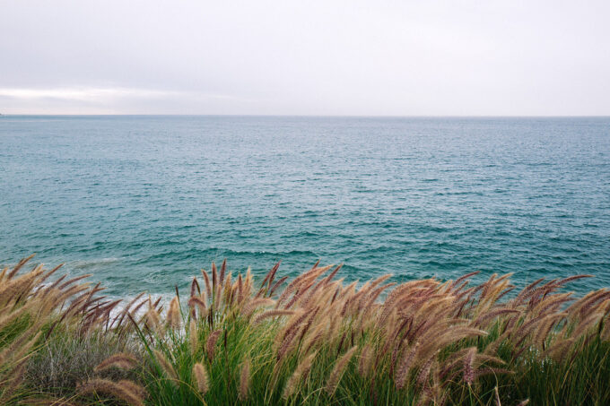 The First Thing I Did After My Wife's Death by John Duberstein