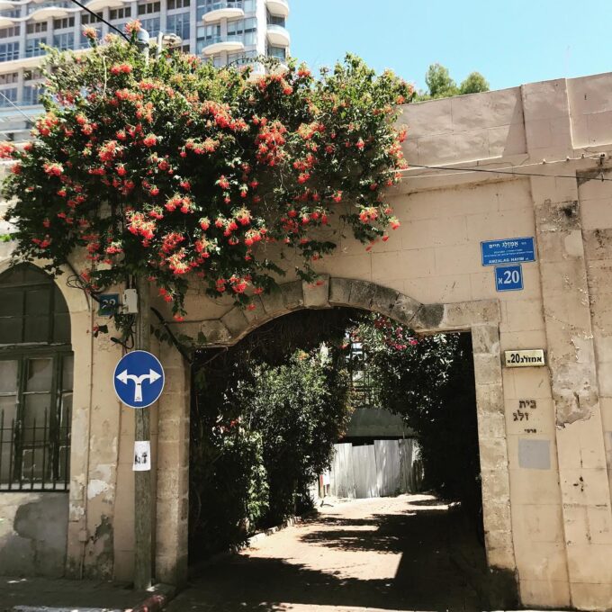 Parenting in Jerusalem, Israel