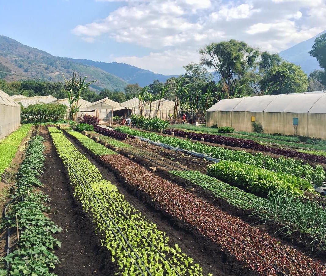 Motherhood Around the World: Guatemala