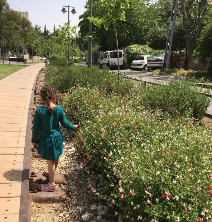 Parenting in Jerusalem, Israel