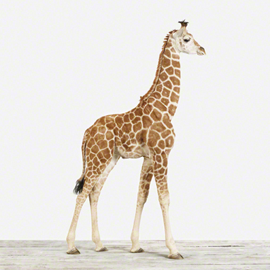 Awesome Art for Kids