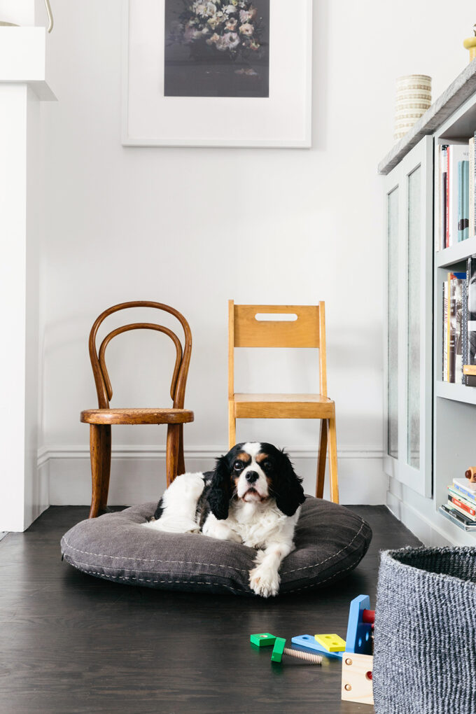 Living Room Makeover With Homepolish