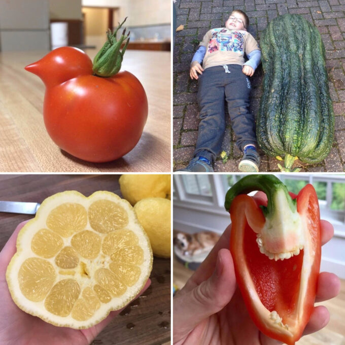 8 Great Instagram Accounts