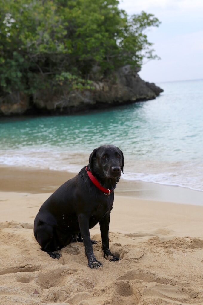 A Weekend Getaway to the Jamaica Inn