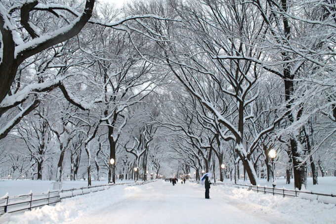 A Winter Guide to NYC