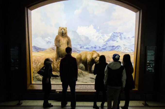 A Winter Guide to NYC