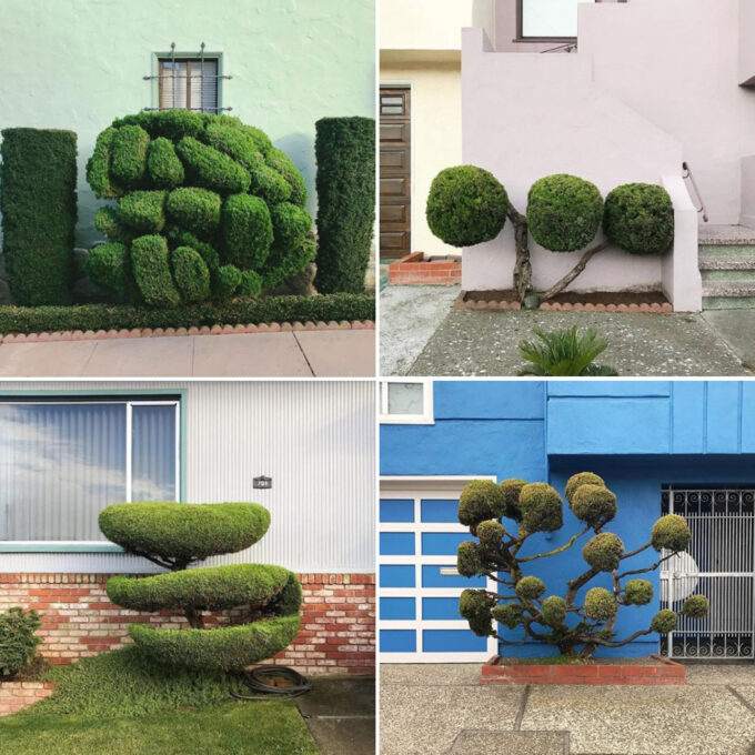 Funny Instagram Accounts