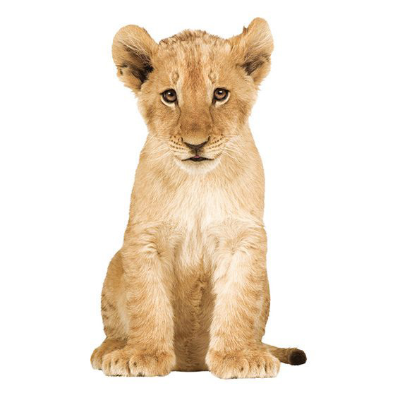 Cub Wall Sticker