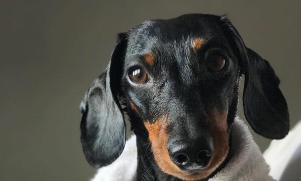 Guilty Pleasure TV Shows