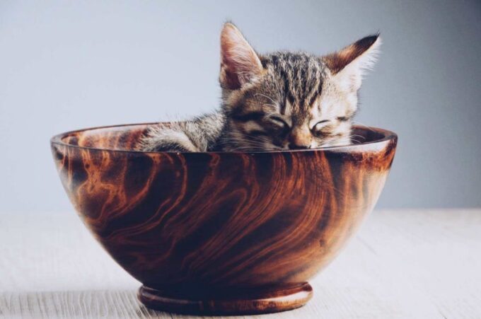 How to fall asleep more quickly