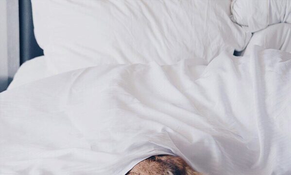 Monthly Challenge: Become an Early Bird