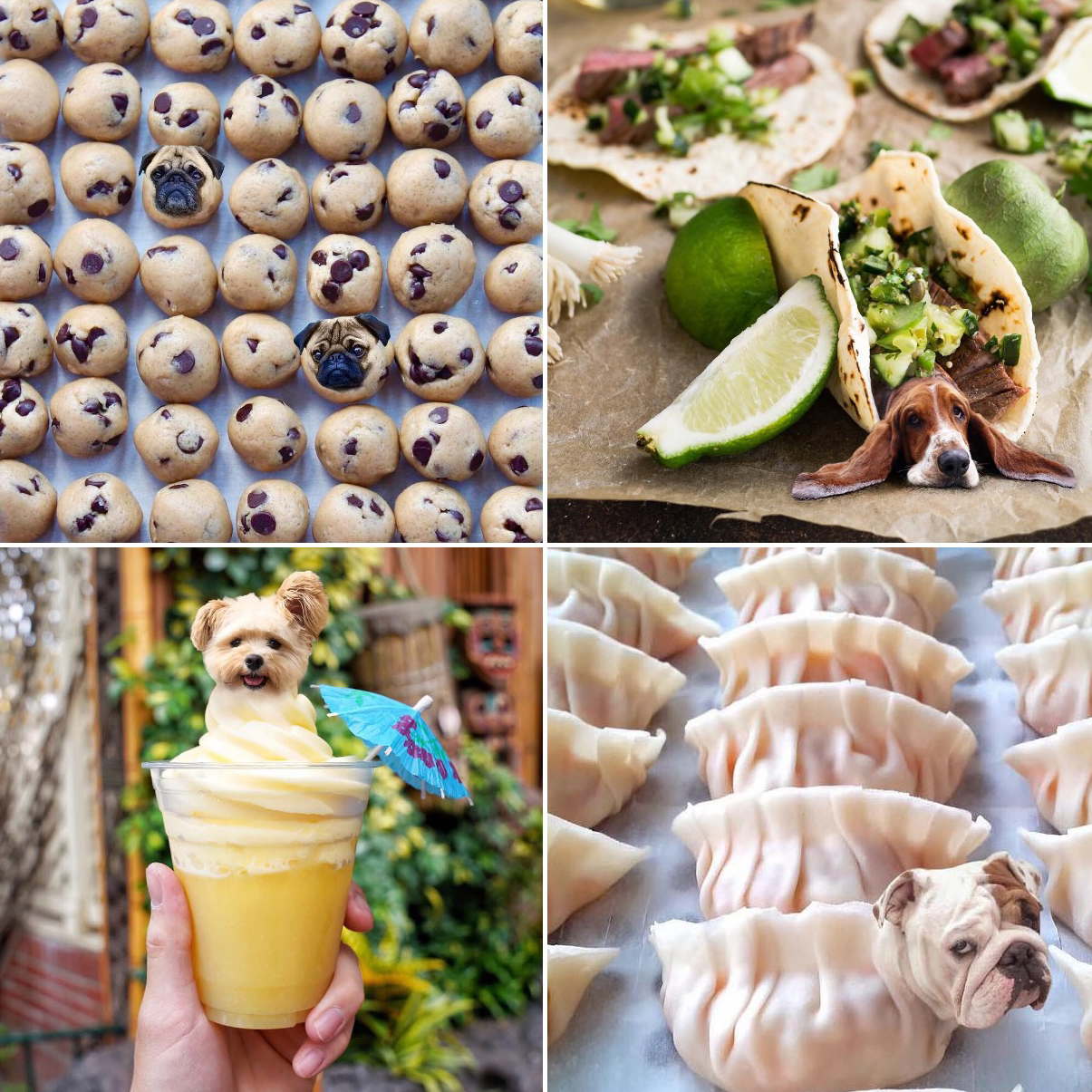 8 Great Instagram Accounts