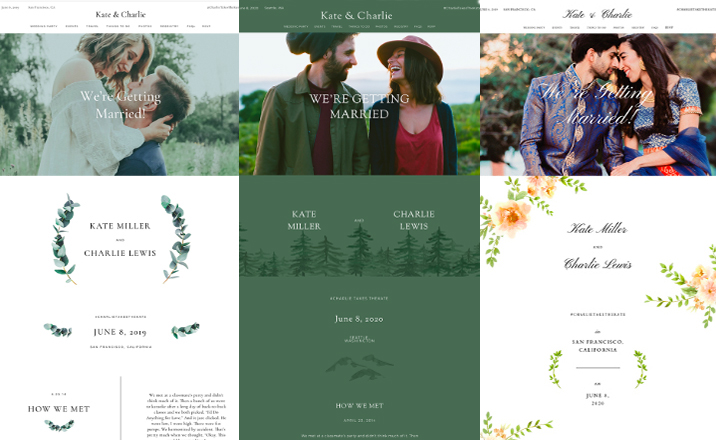 Zola Wedding Websites
