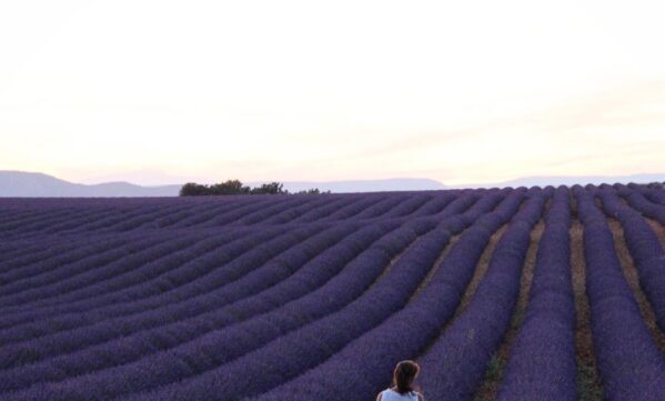 Parenting in Provence