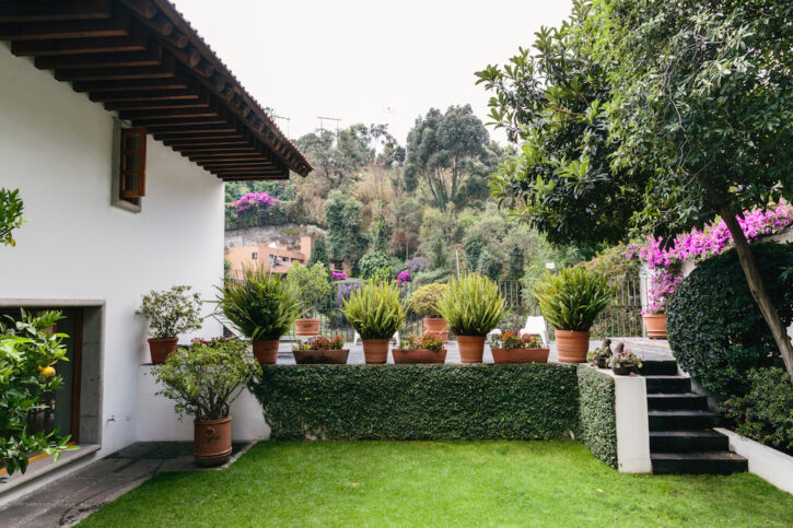 Mexico City House Tour