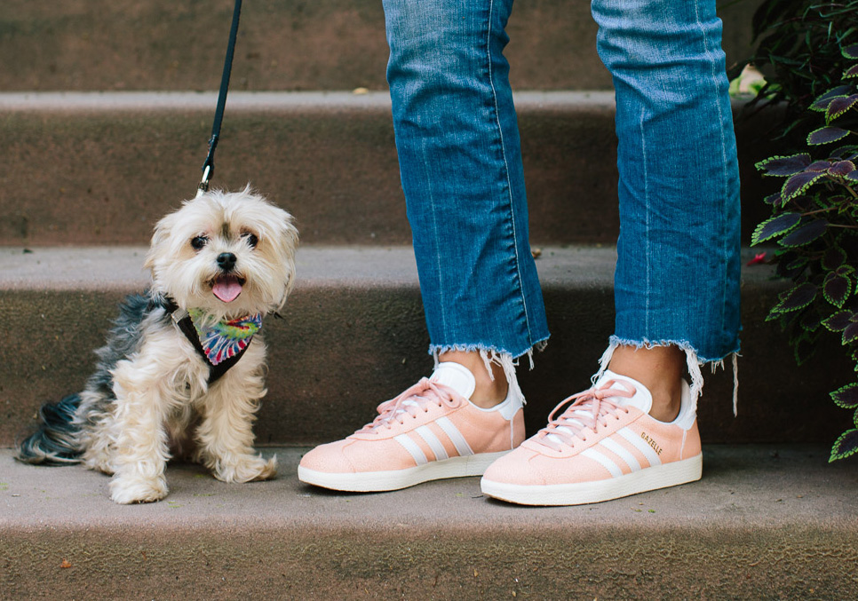 Nordstrom Anniversary Sale