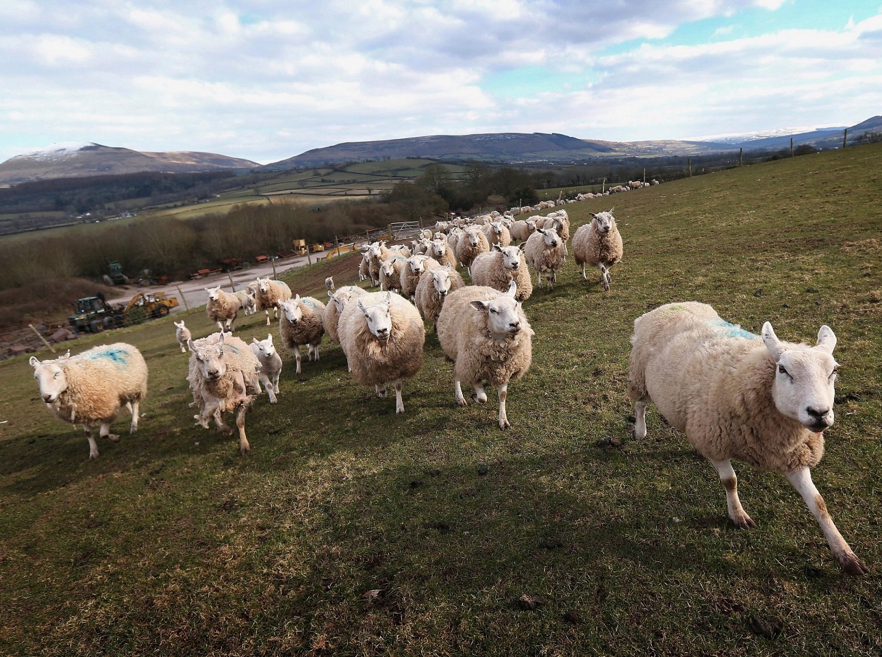 13 Surprising Things About Parenting in Wales