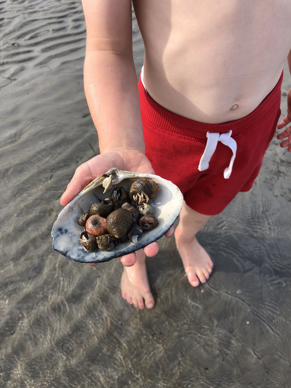 Owl's Head beach in Maine