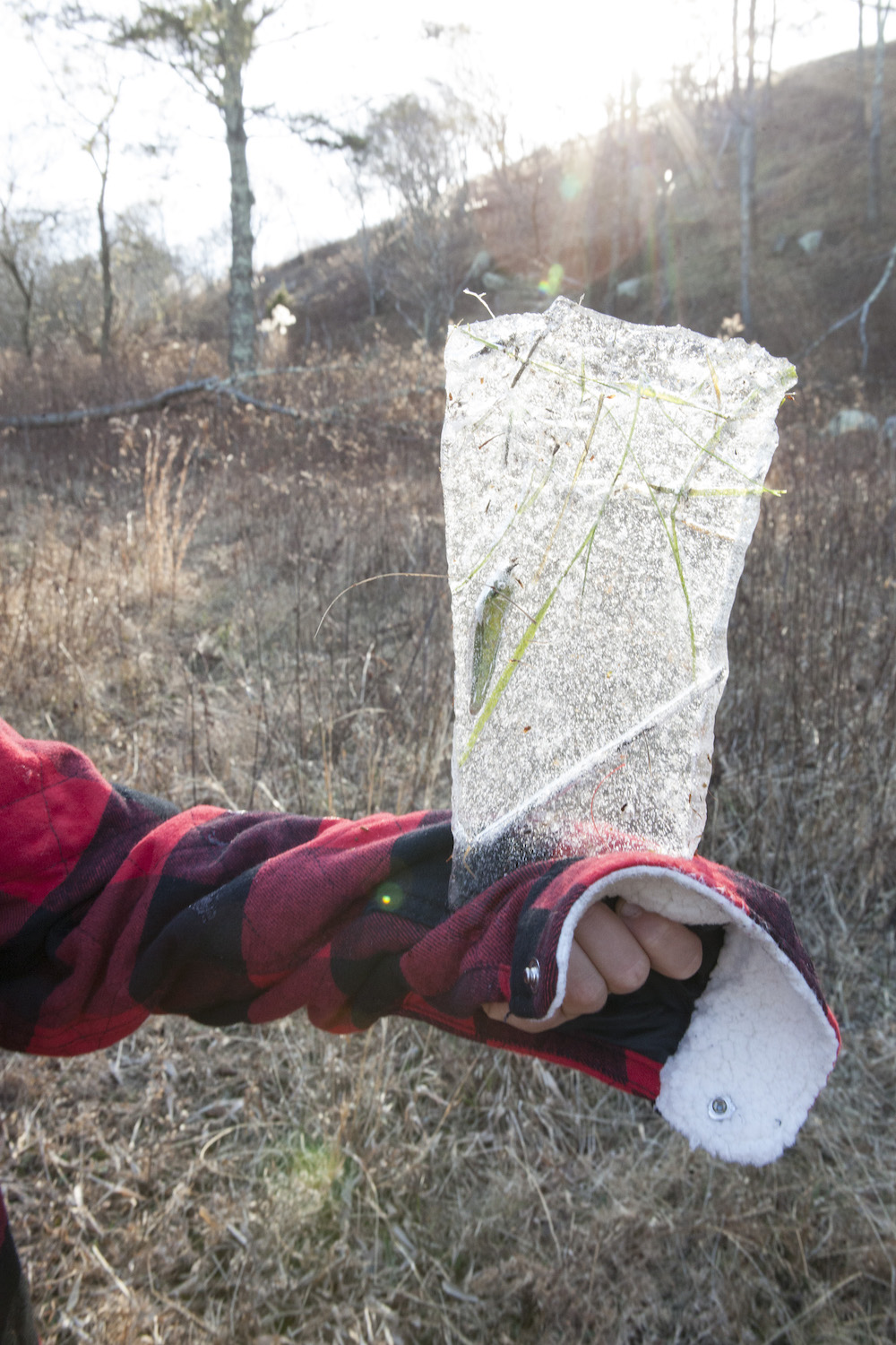 Winter scavenger hunt with kids by Katherine Wolkoff