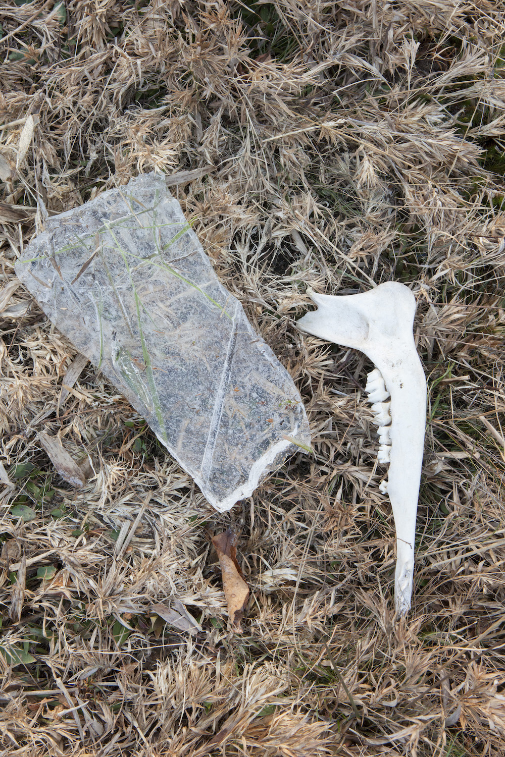 Winter scavenger hunt with kids by Katherine Wolkoff